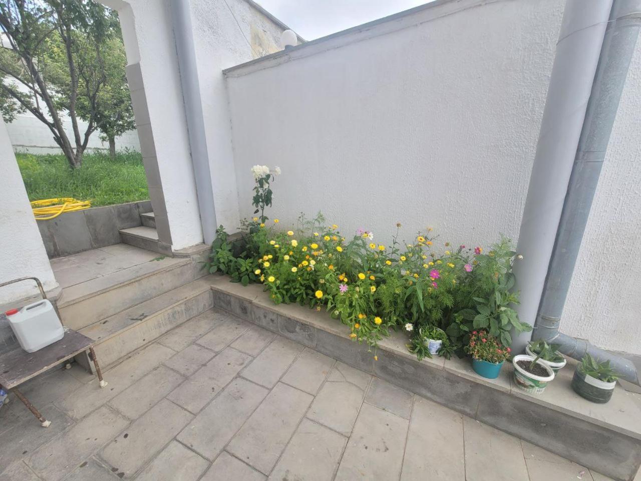 Tsaghkadzor Inn Guest House Exteriér fotografie